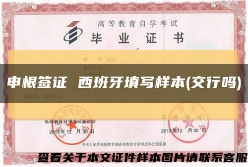 申根签证 西班牙填写样本(交行吗)缩略图