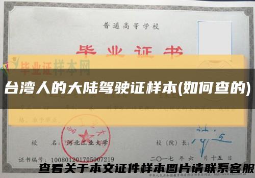 台湾人的大陆驾驶证样本(如何查的)缩略图
