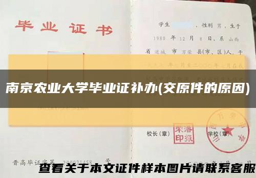 南京农业大学毕业证补办(交原件的原因)缩略图