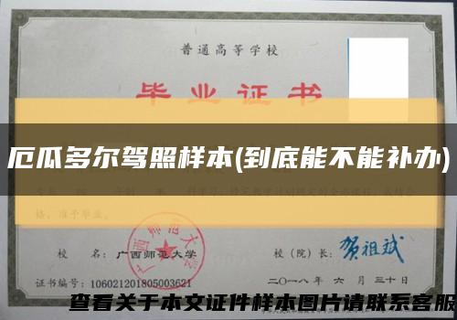 厄瓜多尔驾照样本(到底能不能补办)缩略图