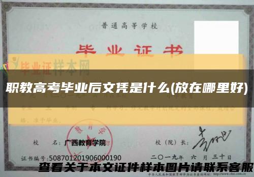 职教高考毕业后文凭是什么(放在哪里好)缩略图