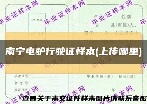 南宁电驴行驶证样本(上传哪里)缩略图