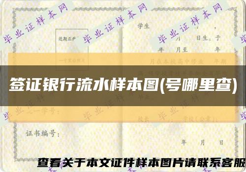 签证银行流水样本图(号哪里查)缩略图