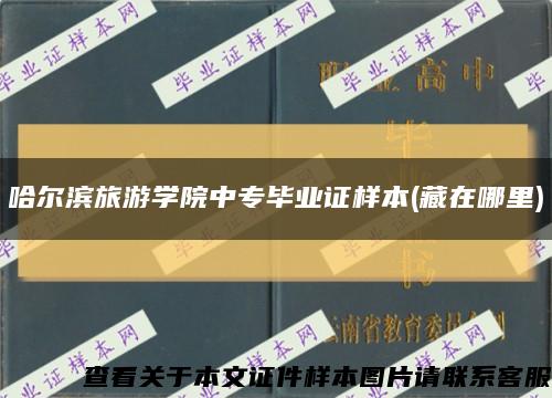 哈尔滨旅游学院中专毕业证样本(藏在哪里)缩略图