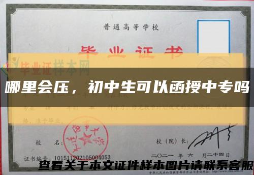 哪里会压，初中生可以函授中专吗缩略图