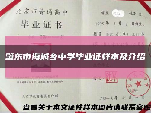 肇东市海城乡中学毕业证样本及介绍缩略图