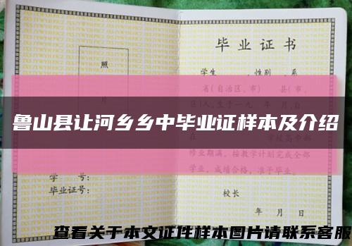 鲁山县让河乡乡中毕业证样本及介绍缩略图