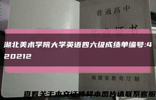 湖北美术学院大学英语四六级成绩单编号:420212缩略图