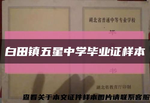 白田镇五星中学毕业证样本缩略图