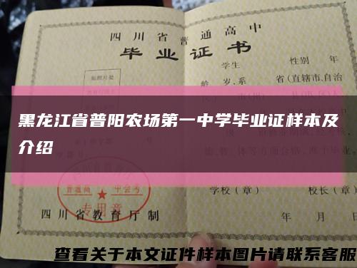 黑龙江省普阳农场第一中学毕业证样本及介绍缩略图