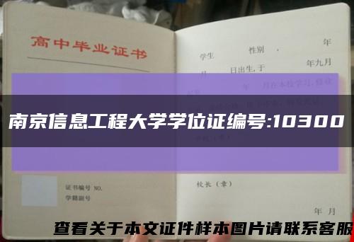 南京信息工程大学学位证编号:10300缩略图