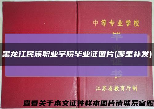 黑龙江民族职业学院毕业证图片(哪里补发)缩略图