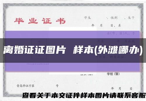 离婚证证图片 样本(外滩哪办)缩略图