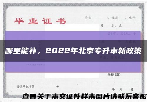 哪里能补，2022年北京专升本新政策缩略图