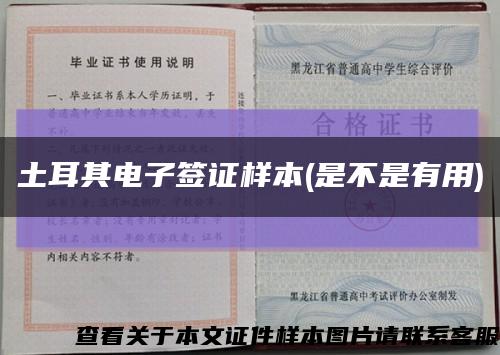 土耳其电子签证样本(是不是有用)缩略图