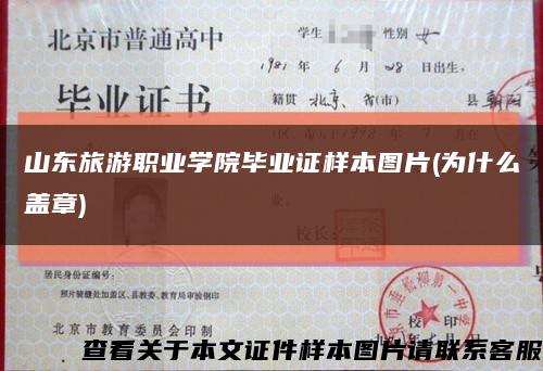 山东旅游职业学院毕业证样本图片(为什么盖章)缩略图