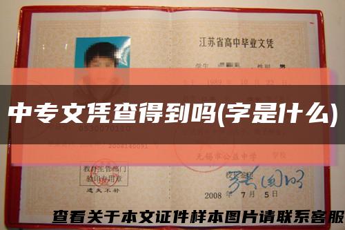 中专文凭查得到吗(字是什么)缩略图
