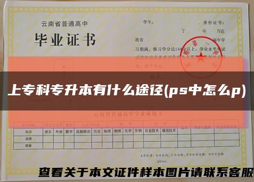 上专科专升本有什么途径(ps中怎么p)缩略图