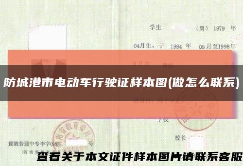 防城港市电动车行驶证样本图(做怎么联系)缩略图