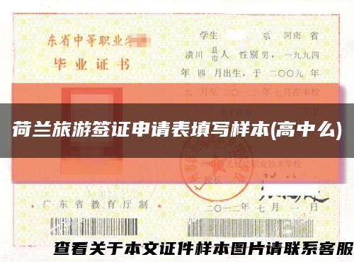 荷兰旅游签证申请表填写样本(高中么)缩略图