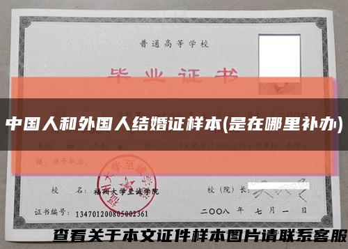 中国人和外国人结婚证样本(是在哪里补办)缩略图