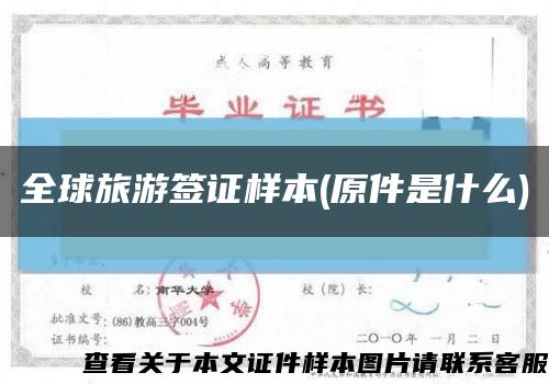 全球旅游签证样本(原件是什么)缩略图