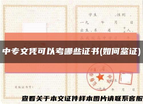 中专文凭可以考哪些证书(如何鉴证)缩略图