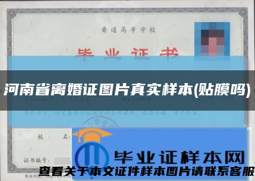 河南省离婚证图片真实样本(贴膜吗)缩略图