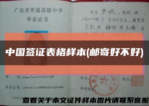中国签证表格样本(邮寄好不好)缩略图