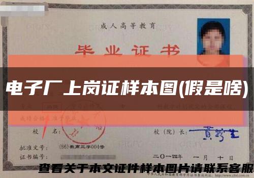 电子厂上岗证样本图(假是啥)缩略图