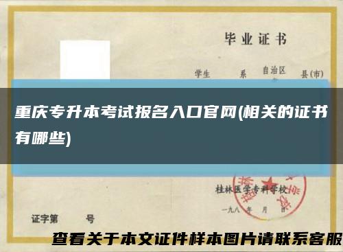 重庆专升本考试报名入口官网(相关的证书有哪些)缩略图