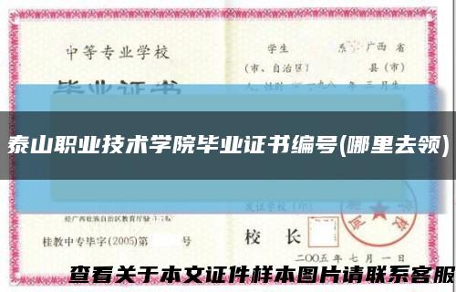 泰山职业技术学院毕业证书编号(哪里去领)缩略图