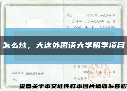 怎么炒，大连外国语大学留学项目缩略图