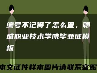 编号不记得了怎么查，聊城职业技术学院毕业证模板缩略图