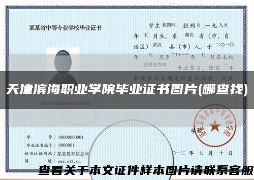 天津滨海职业学院毕业证书图片(哪查找)缩略图