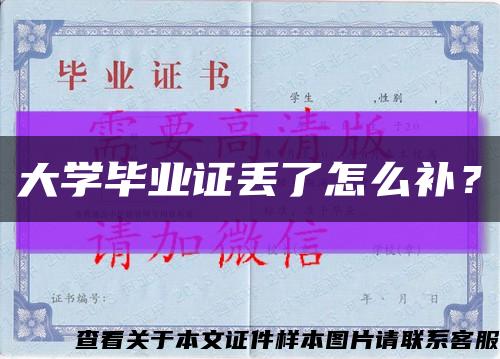 大学毕业证丢了怎么补？缩略图