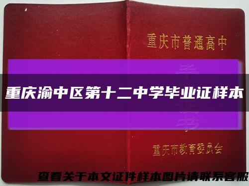 重庆渝中区第十二中学毕业证样本缩略图