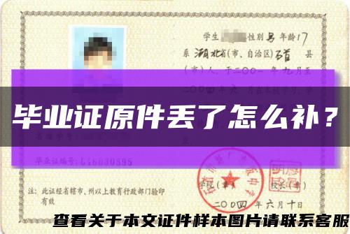 毕业证原件丢了怎么补？缩略图