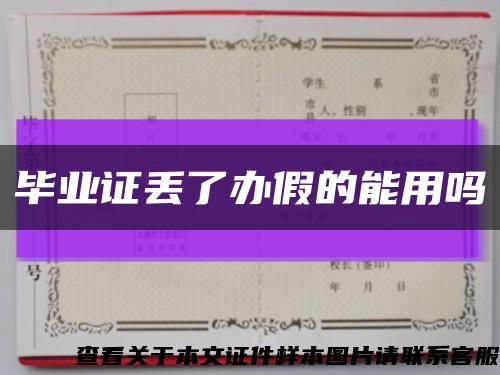 毕业证丢了办假的能用吗缩略图