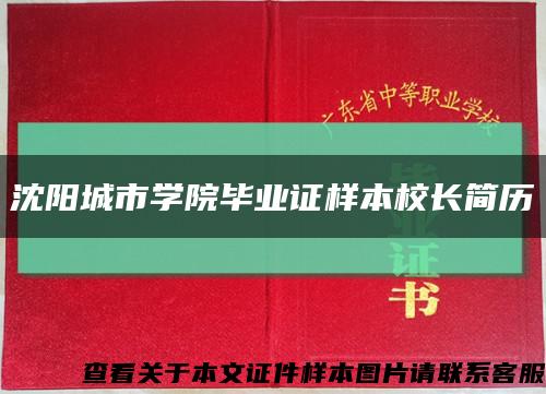 沈阳城市学院毕业证样本校长简历缩略图