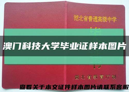 澳门科技大学毕业证样本图片缩略图