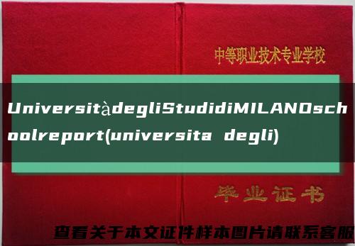 UniversitàdegliStudidiMILANOschoolreport(universita degli)缩略图