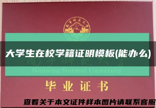 大学生在校学籍证明模板(能办么)缩略图