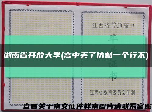 湖南省开放大学(高中丢了仿制一个行不)缩略图