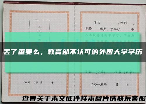 丢了重要么，教育部不认可的外国大学学历缩略图