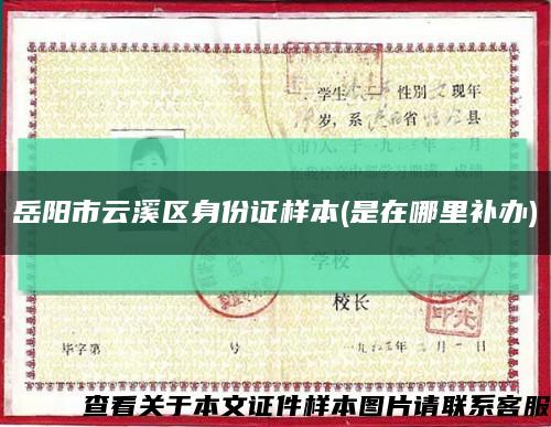 岳阳市云溪区身份证样本(是在哪里补办)缩略图