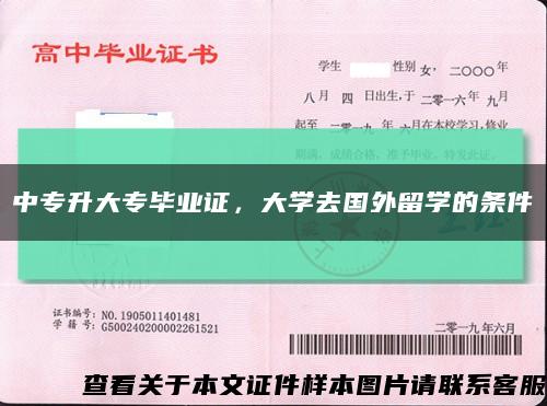 中专升大专毕业证，大学去国外留学的条件缩略图