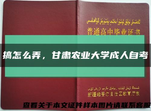 搞怎么弄，甘肃农业大学成人自考缩略图