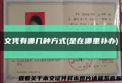 文凭有哪几种方式(是在哪里补办)缩略图