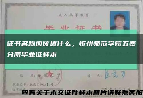 证书名称应该填什么，忻州师范学院五寨分院毕业证样本缩略图